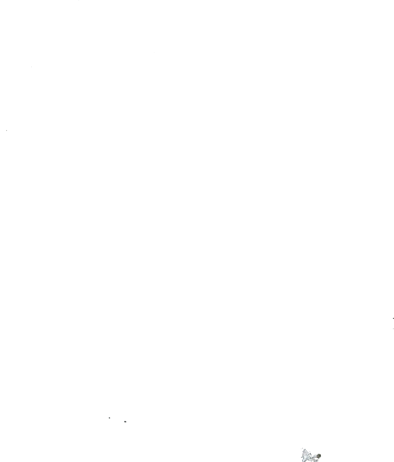 French Southern and Antarctic Lands, July 2004: NASA imagery clipped to the regional boundary