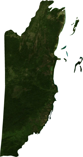 Belize, January 2004: NASA imagery clipped to the regional boundary