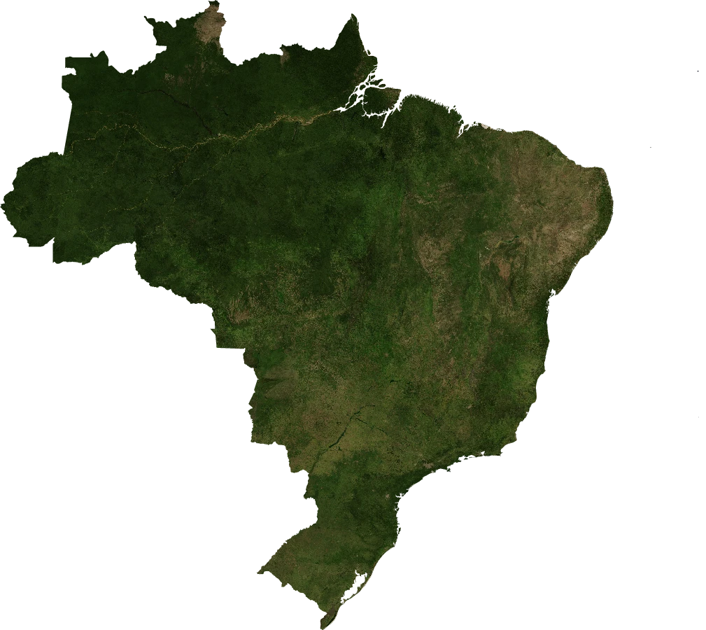 Brazil, January 2004: NASA imagery clipped to the regional boundary