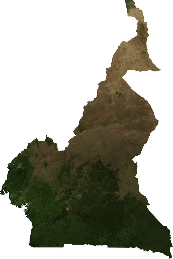 Cameroon, January 2004: NASA imagery clipped to the regional boundary