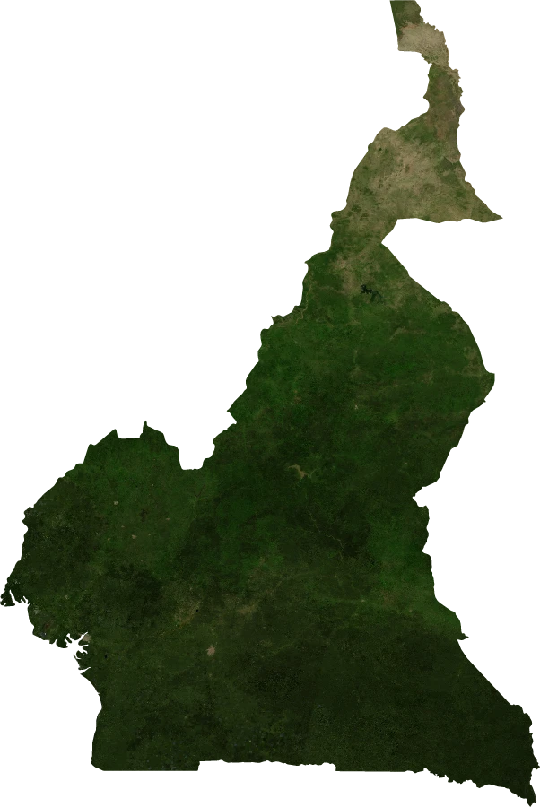 Cameroon, July 2004: NASA imagery clipped to the regional boundary