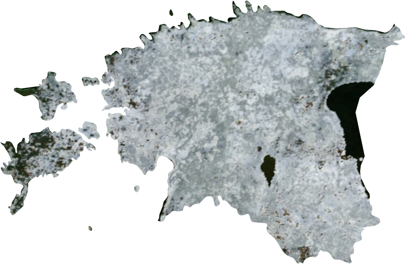 Estonia, January 2004: NASA imagery clipped to the regional boundary