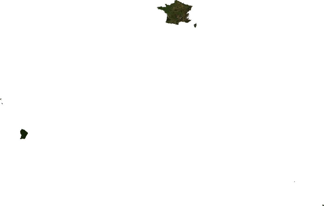 France, January 2004: NASA imagery clipped to the regional boundary