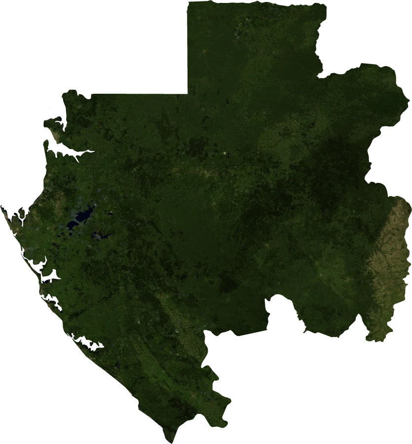 Gabon, January 2004: NASA imagery clipped to the regional boundary