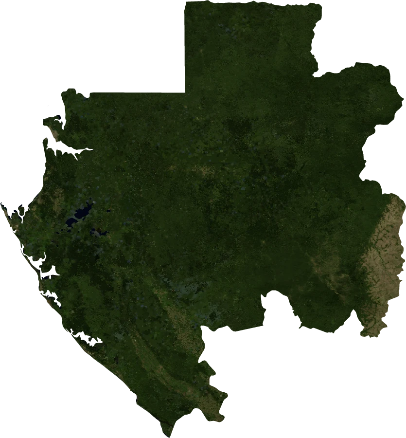Gabon, July 2004: NASA imagery clipped to the regional boundary