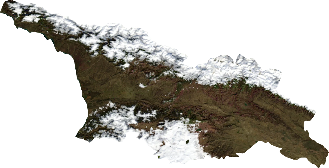Georgia, January 2004: NASA imagery clipped to the regional boundary