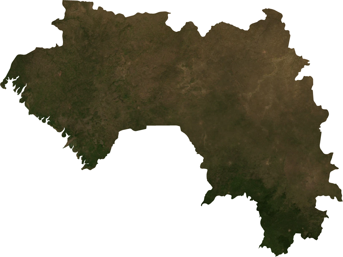 Guinea, January 2004: NASA imagery clipped to the regional boundary