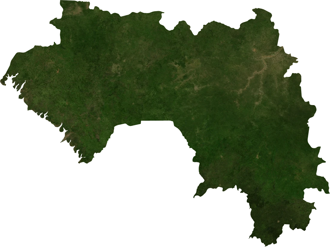 Guinea, July 2004: NASA imagery clipped to the regional boundary