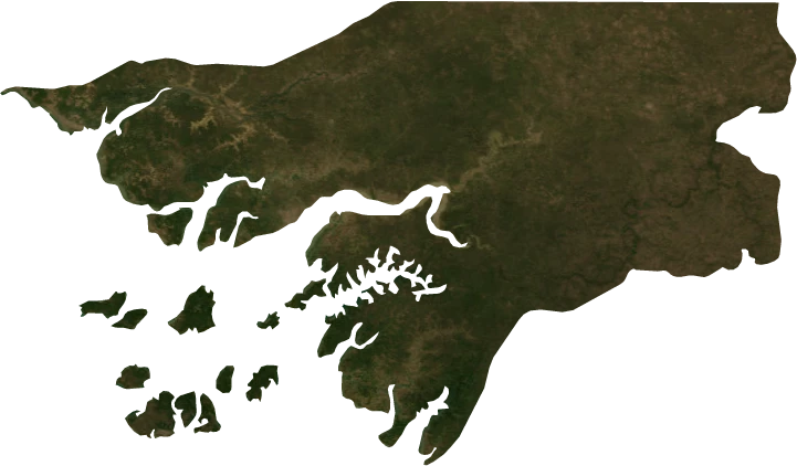Guinea-Bissau, January 2004: NASA imagery clipped to the regional boundary