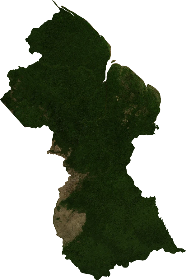 Guyana, January 2004: NASA imagery clipped to the regional boundary