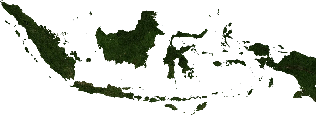 Indonesia, January 2004: NASA imagery clipped to the regional boundary