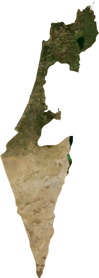 Israel, January 2004: NASA imagery clipped to the regional boundary