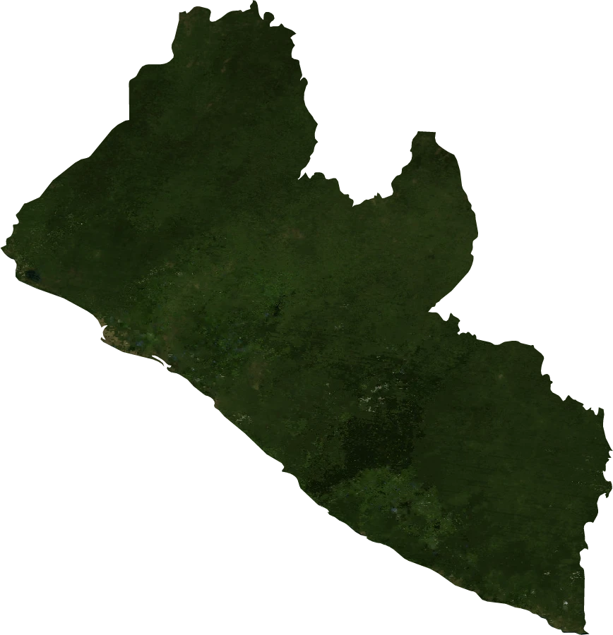 Liberia, January 2004: NASA imagery clipped to the regional boundary