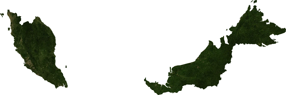 Malaysia, January 2004: NASA imagery clipped to the regional boundary