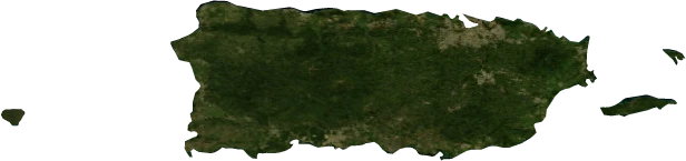 Puerto Rico, January 2004: NASA imagery clipped to the regional boundary