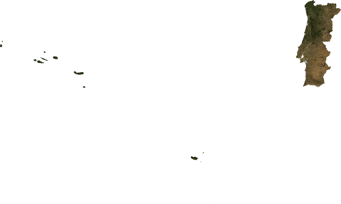 Portugal, July 2004: NASA imagery clipped to the regional boundary