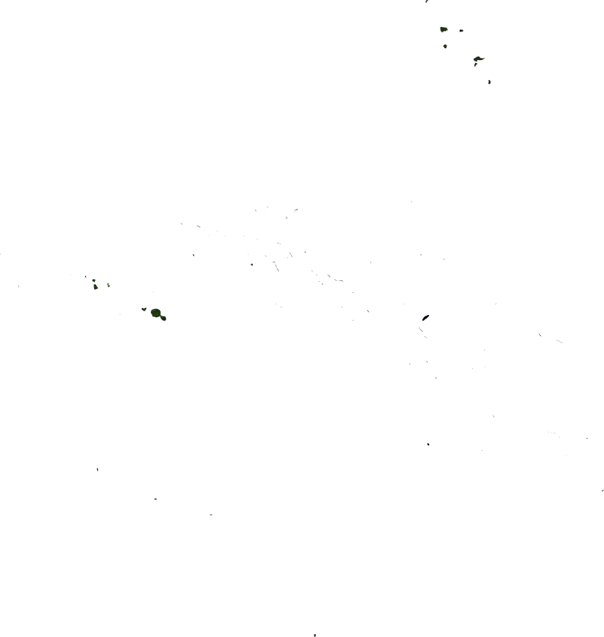 French Polynesia, January 2004: NASA imagery clipped to the regional boundary
