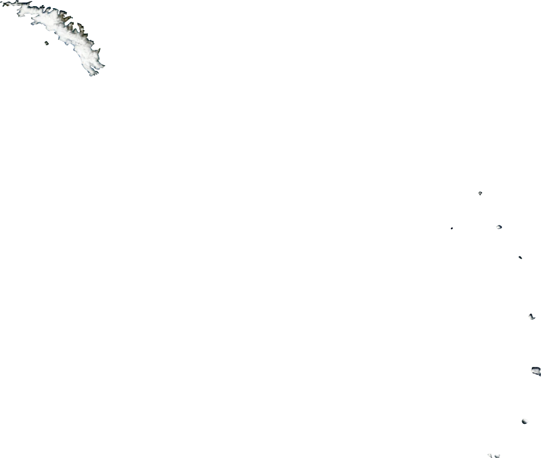 South Georgia and the South Sandwich Islands, January 2004: NASA imagery clipped to the regional boundary