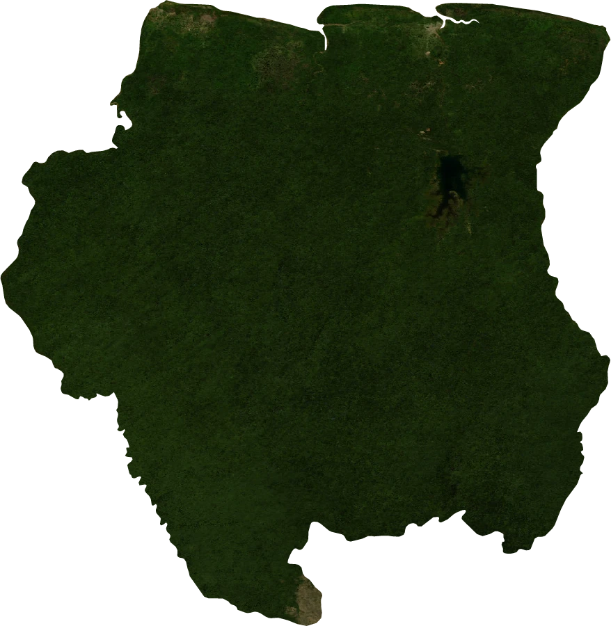 Suriname, January 2004: NASA imagery clipped to the regional boundary