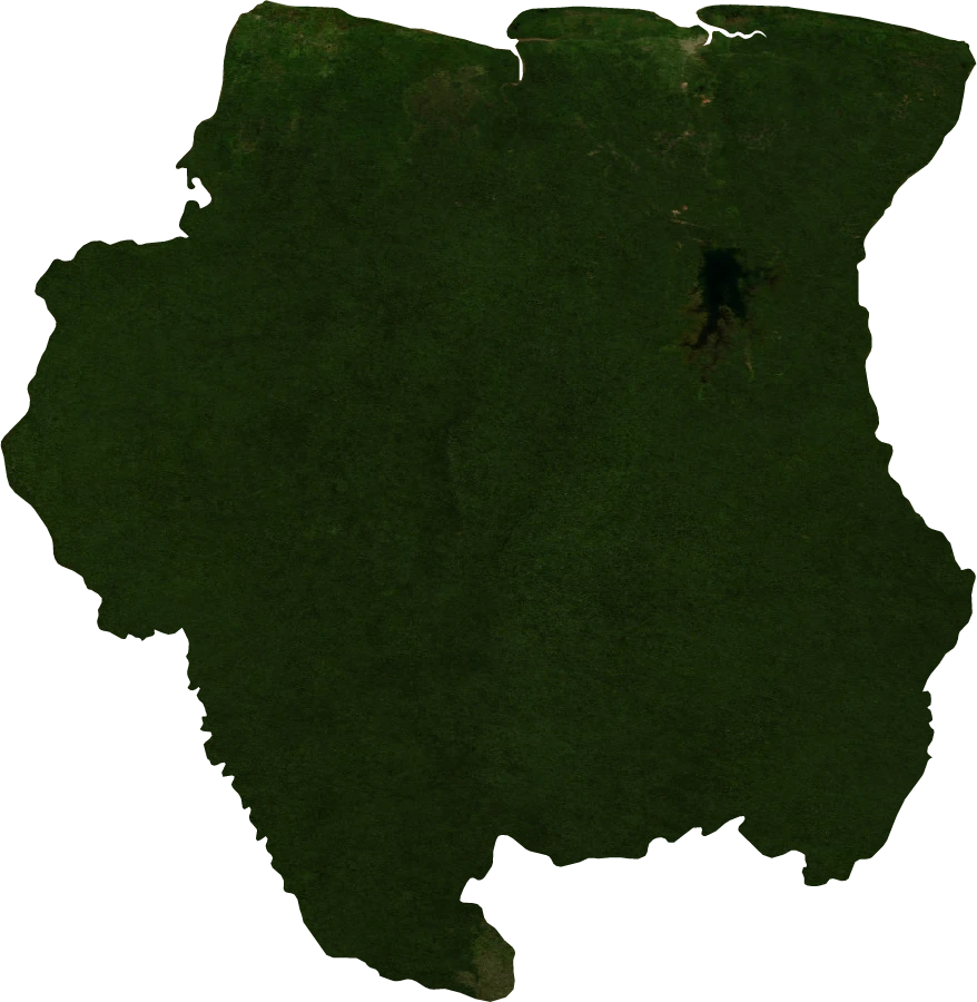 Suriname, July 2004: NASA imagery clipped to the regional boundary