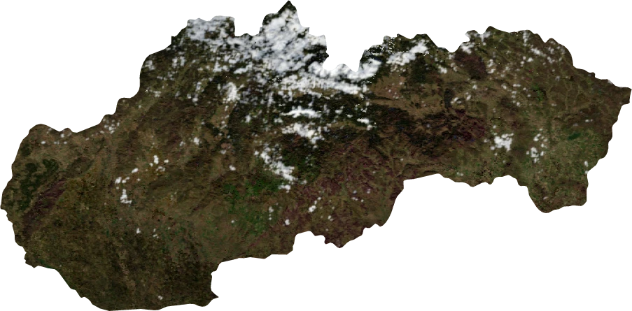 Slovakia, January 2004: NASA imagery clipped to the regional boundary