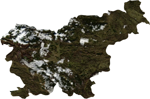 Slovenia, January 2004: NASA imagery clipped to the regional boundary