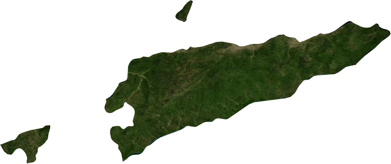 East Timor, January 2004: NASA imagery clipped to the regional boundary