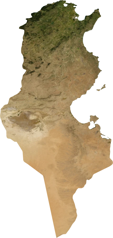 Tunisia, January 2004: NASA imagery clipped to the regional boundary