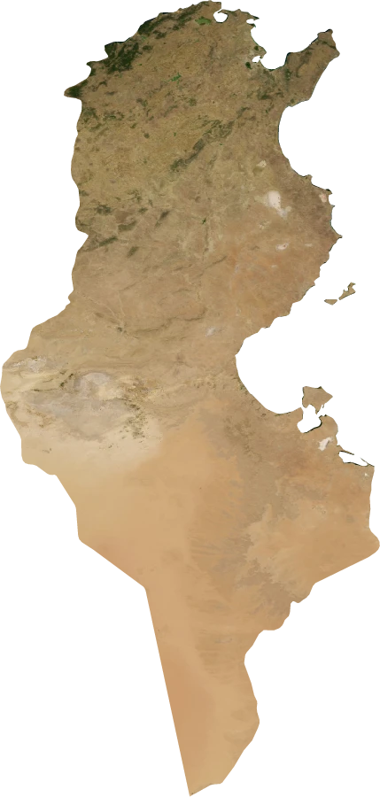 Tunisia, July 2004: NASA imagery clipped to the regional boundary