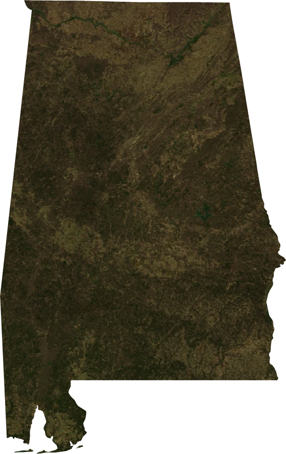 Alabama, January 2004: NASA imagery clipped to the regional boundary