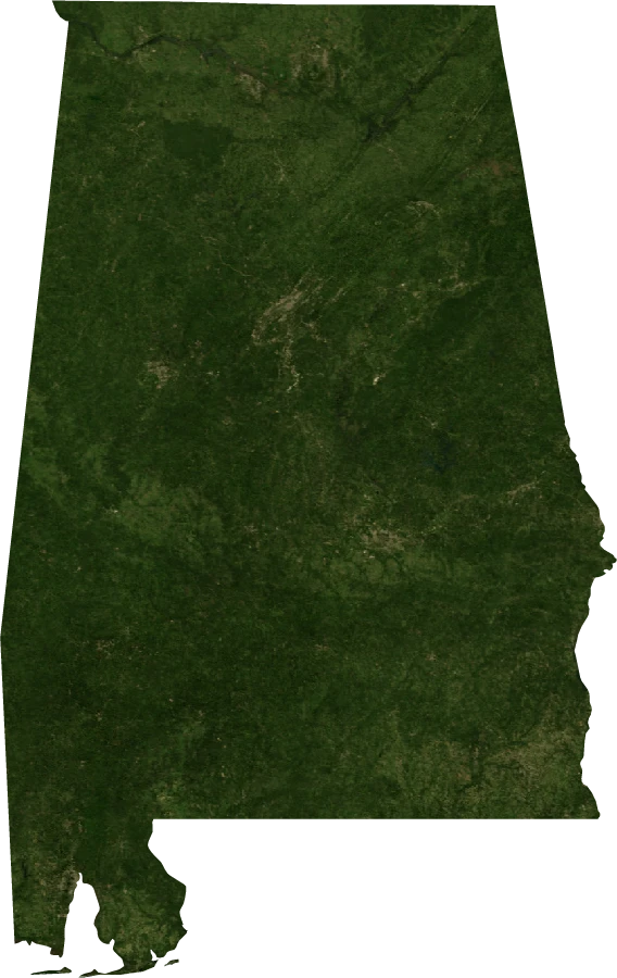 Alabama, July 2004: NASA imagery clipped to the regional boundary