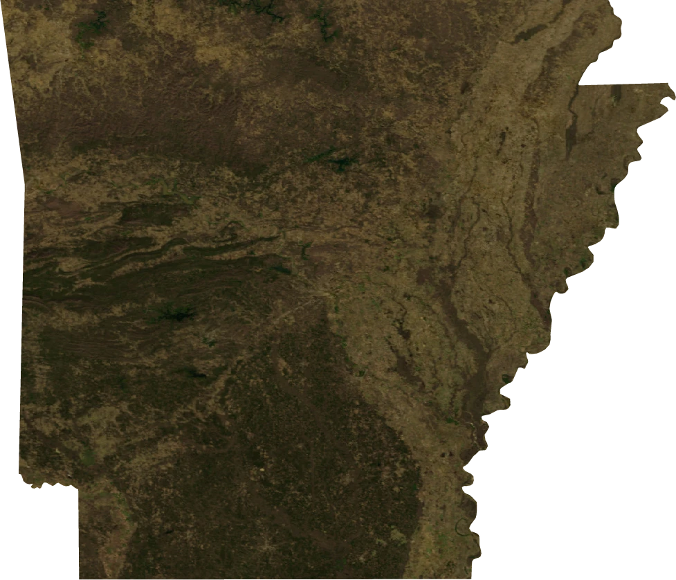 Arkansas, January 2004: NASA imagery clipped to the regional boundary