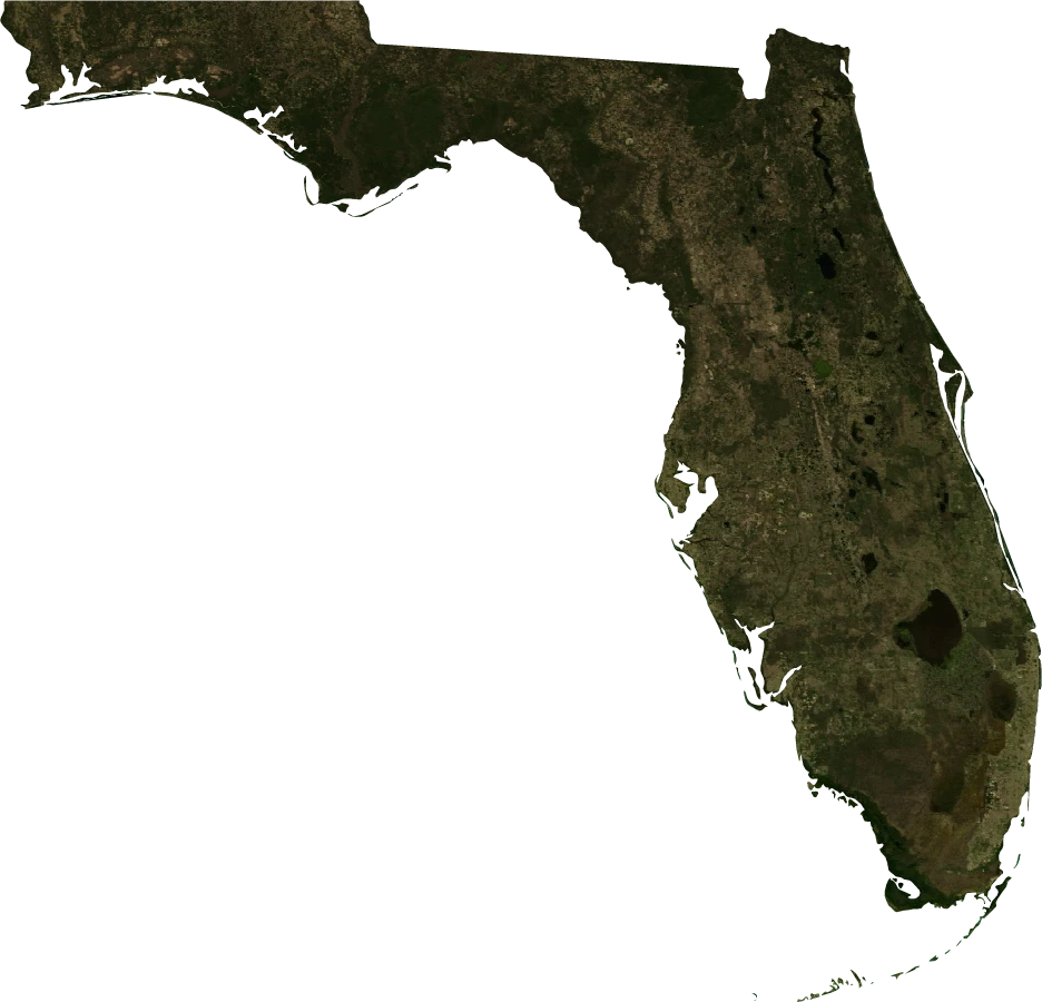 Florida, January 2004: NASA imagery clipped to the regional boundary