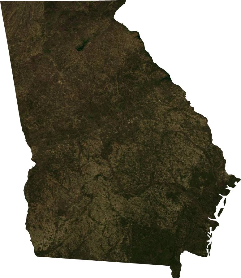 Georgia, January 2004: NASA imagery clipped to the regional boundary