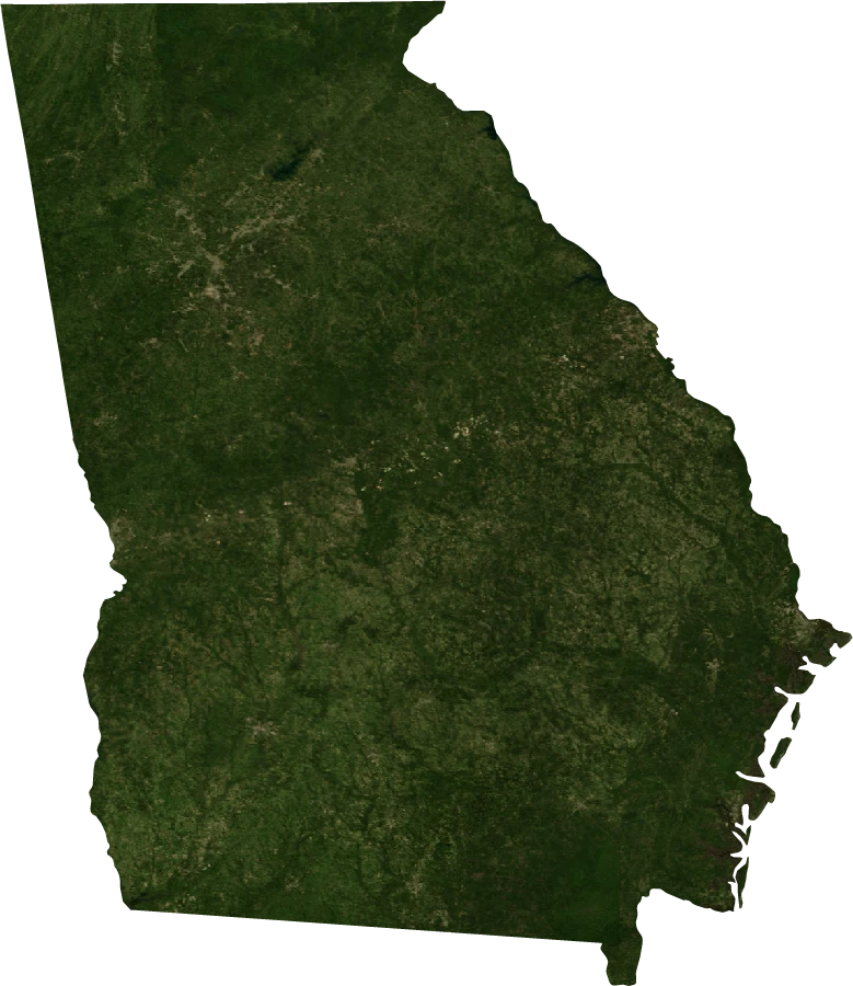 Georgia, July 2004: NASA imagery clipped to the regional boundary