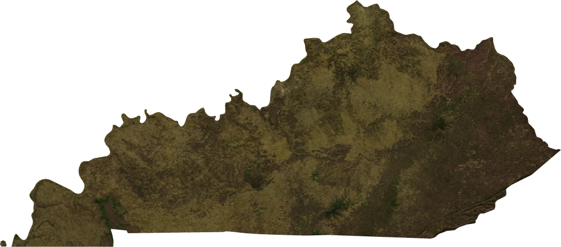 Kentucky, January 2004: NASA imagery clipped to the regional boundary