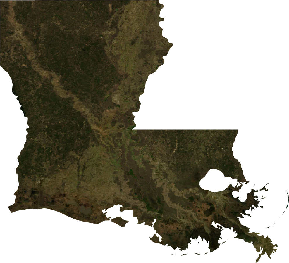 Louisiana, January 2004: NASA imagery clipped to the regional boundary