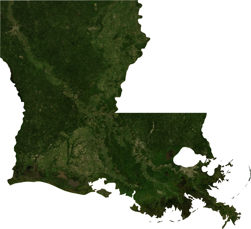 Louisiana, July 2004: NASA imagery clipped to the regional boundary