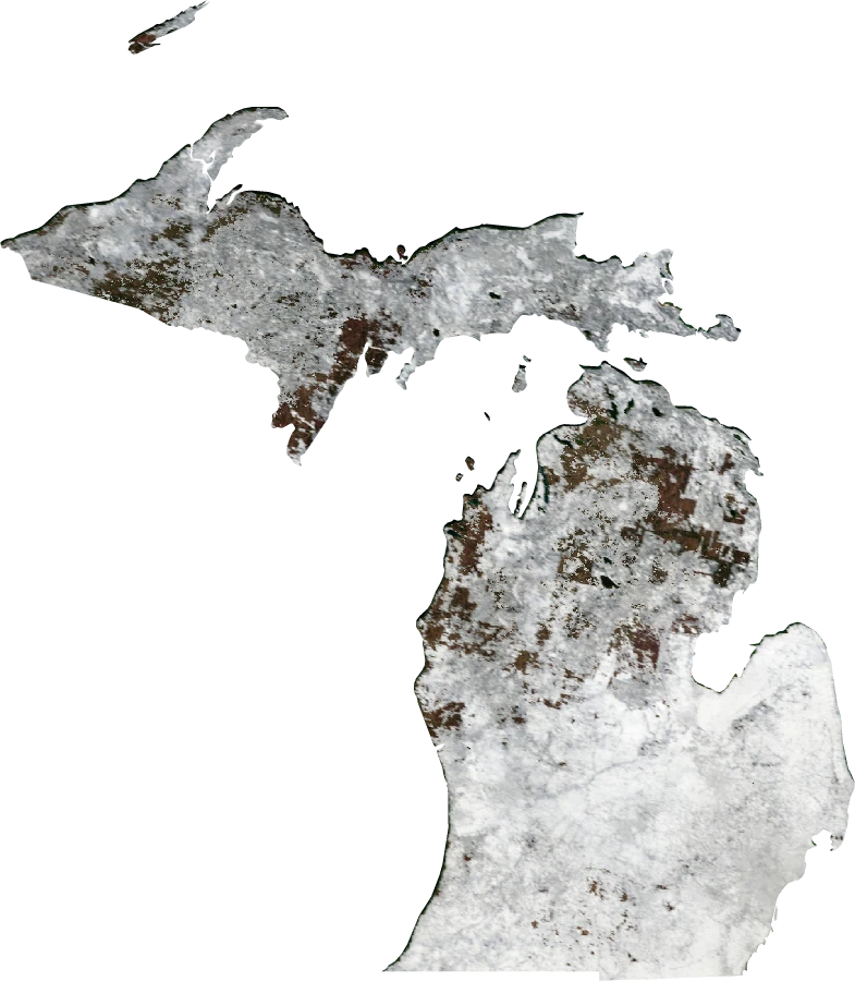 Michigan, January 2004: NASA imagery clipped to the regional boundary