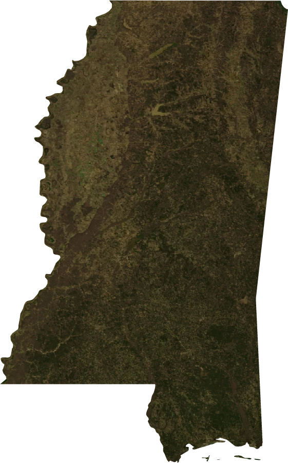 Mississippi, January 2004: NASA imagery clipped to the regional boundary