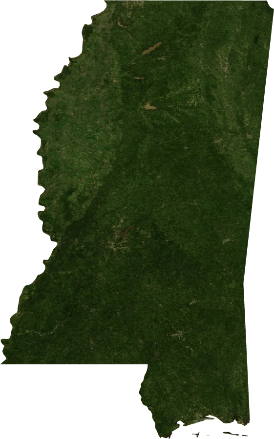 Mississippi, July 2004: NASA imagery clipped to the regional boundary