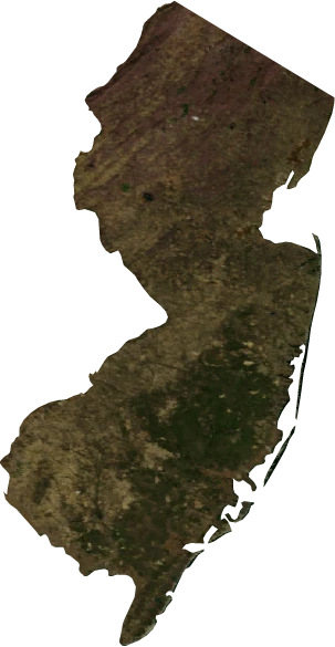 New Jersey, January 2004: NASA imagery clipped to the regional boundary