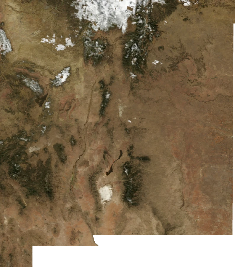 New Mexico, January 2004: NASA imagery clipped to the regional boundary