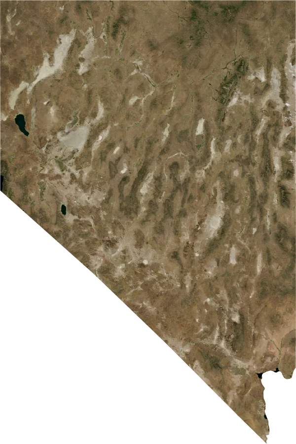 Nevada, July 2004: NASA imagery clipped to the regional boundary