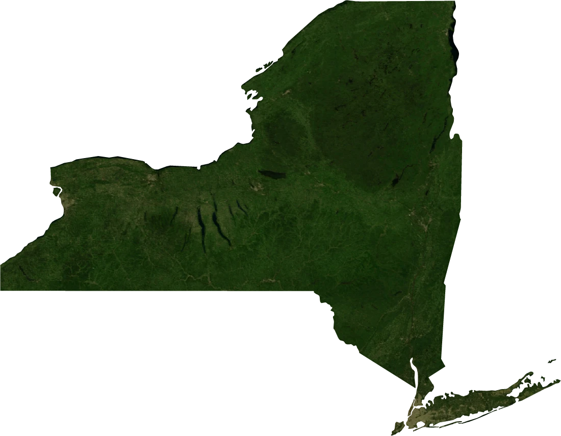 New York, July 2004: NASA imagery clipped to the regional boundary