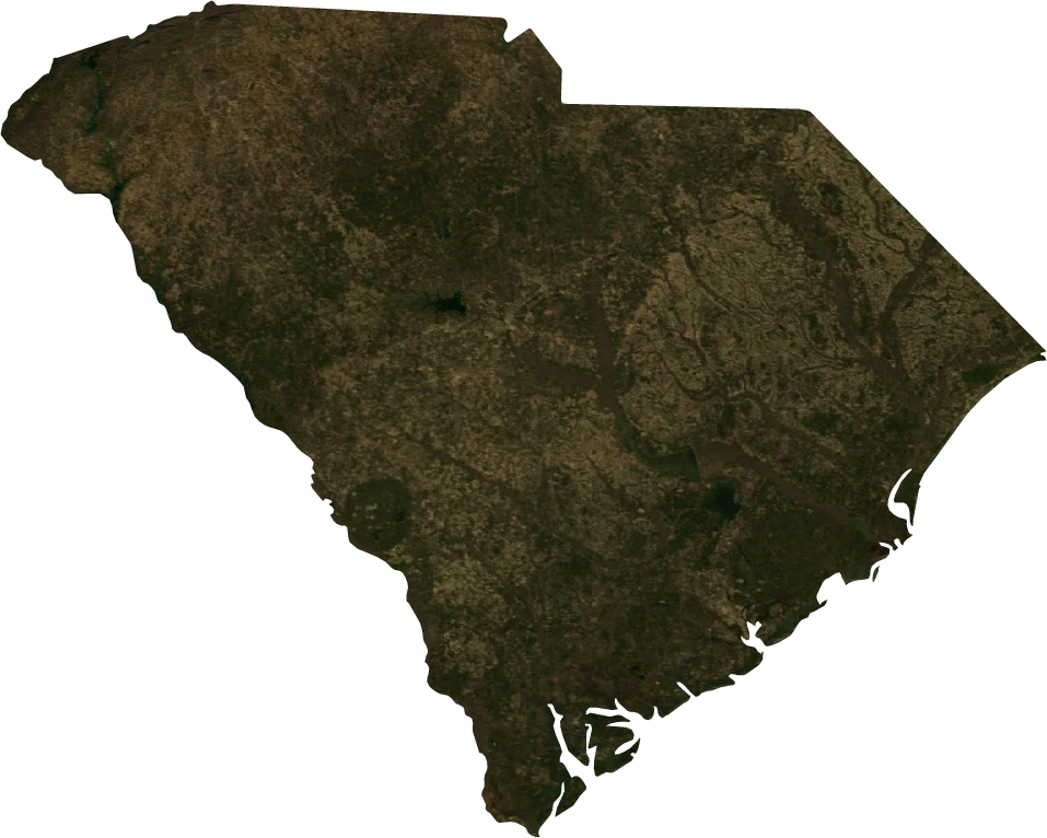 South Carolina, January 2004: NASA imagery clipped to the regional boundary