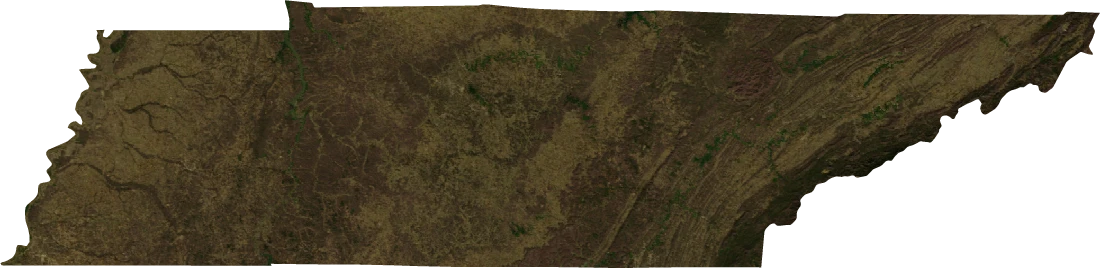 Tennessee, January 2004: NASA imagery clipped to the regional boundary