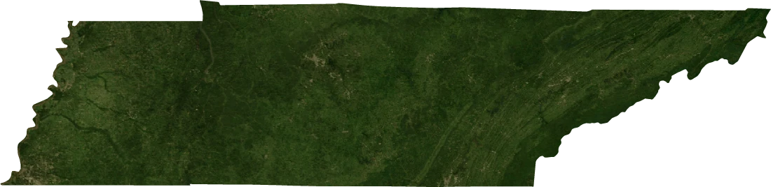 Tennessee, July 2004: NASA imagery clipped to the regional boundary